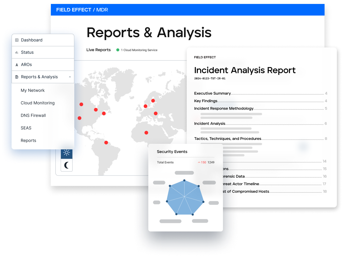 Cybersecurity Assessment Service | Field Effect