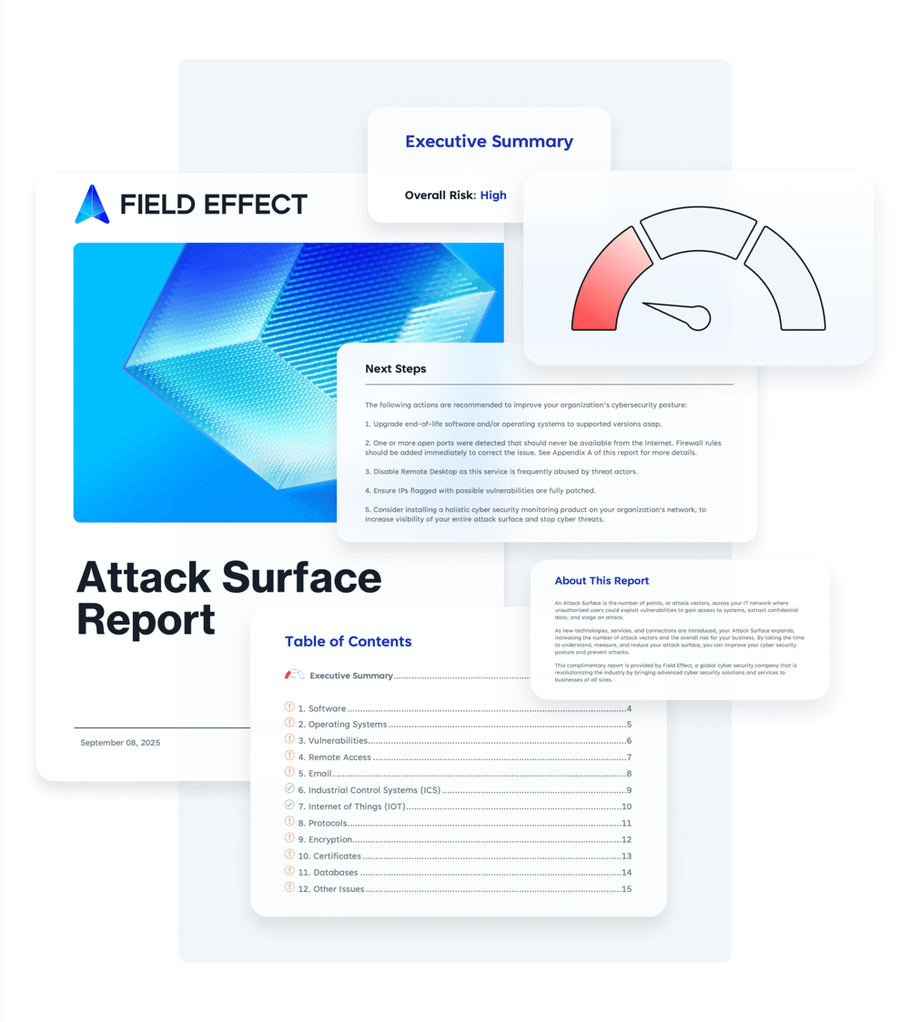 Sample Attack Surface Report from Field Effect Sample Attack Surface Report from Field Effect
