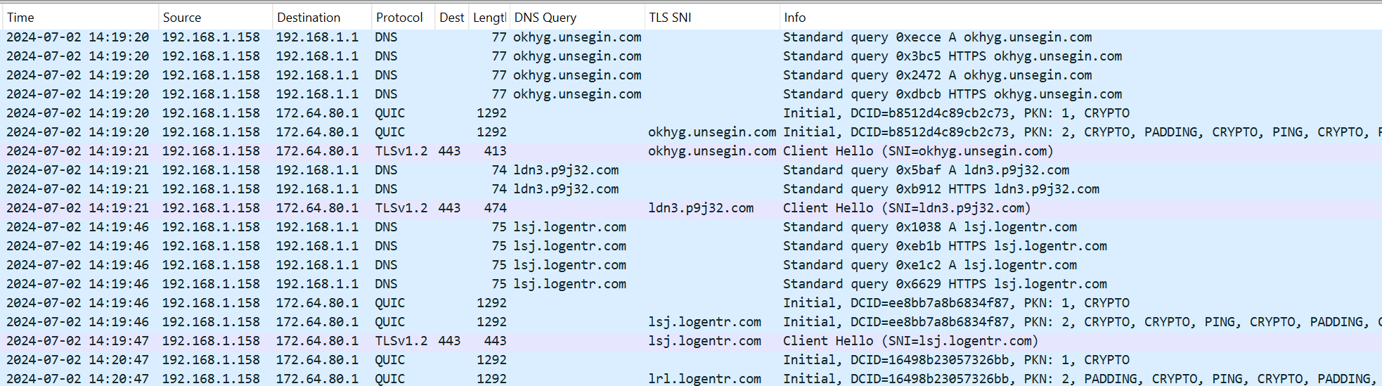 domain pcap